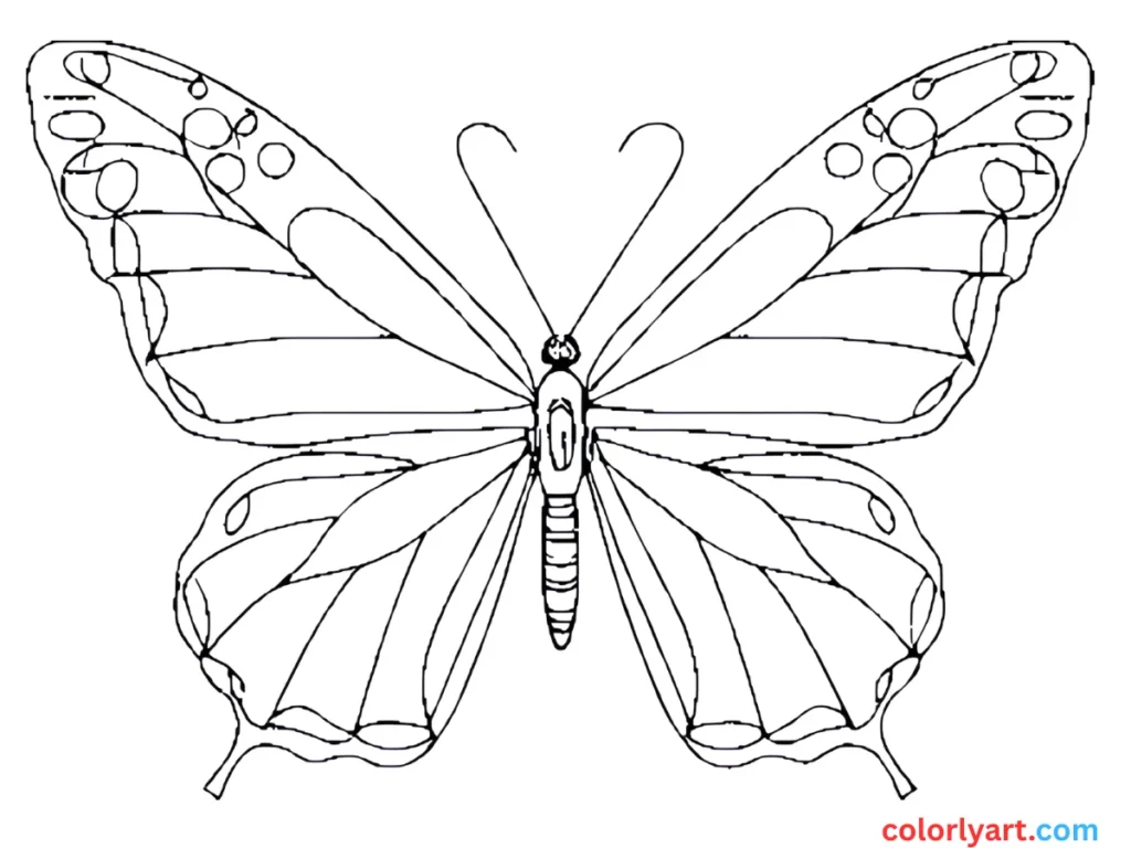 butterfly with heart-shaped wings.