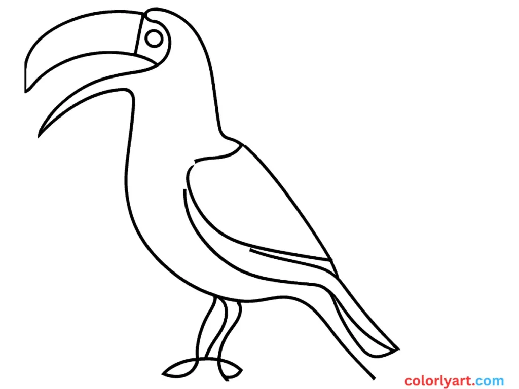 colorful toucan with a big beak.