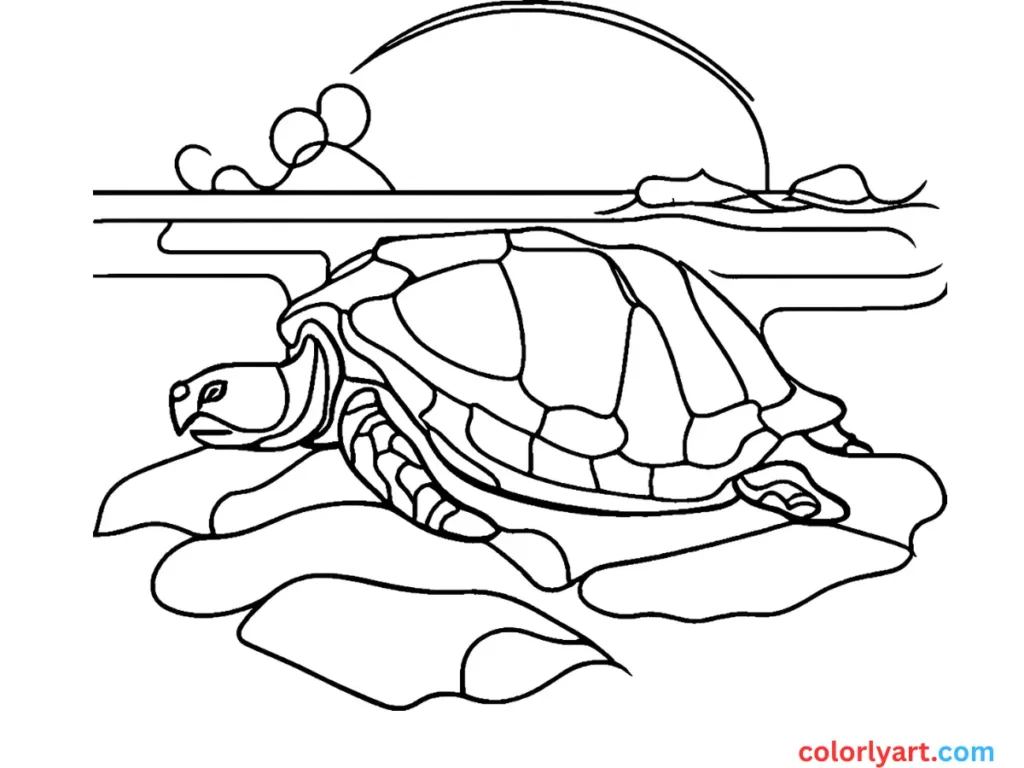 Create a wise tortoise with a sturdy shell.