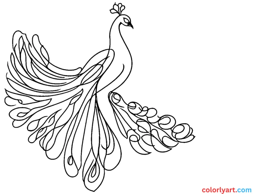 dazzling peacock with vibrant tails.