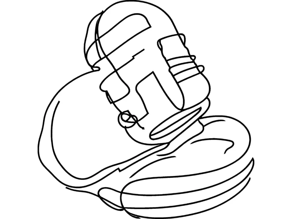 DJ Catnip’s microphone.