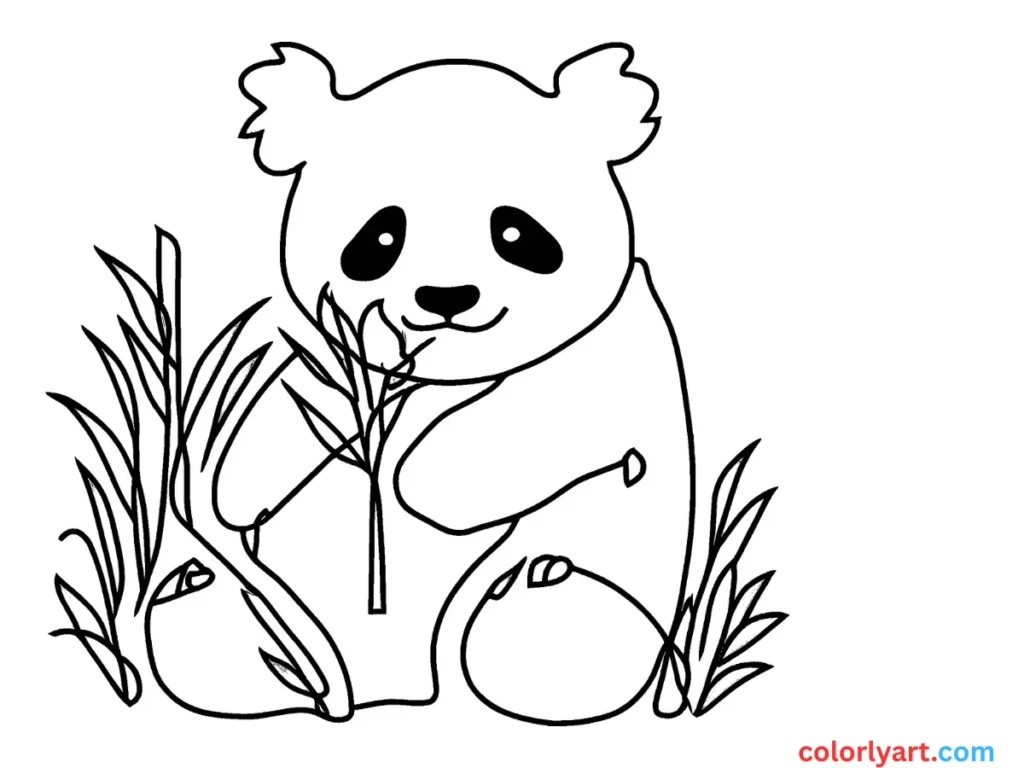 fluffy panda munching bamboo