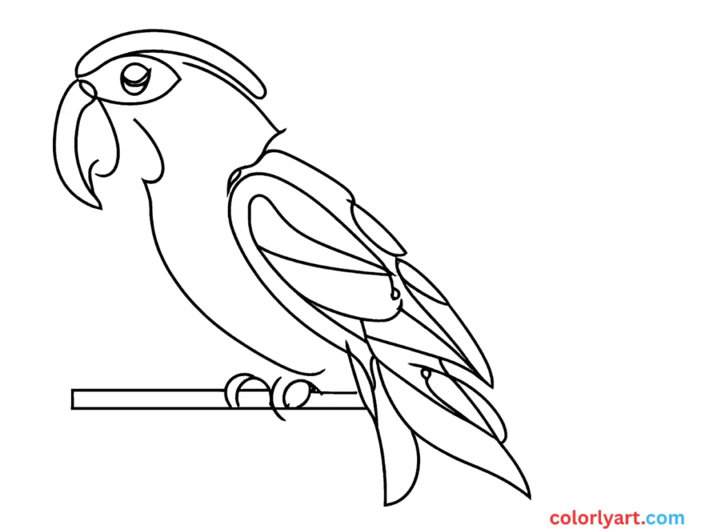parrot with rainbow feathers.