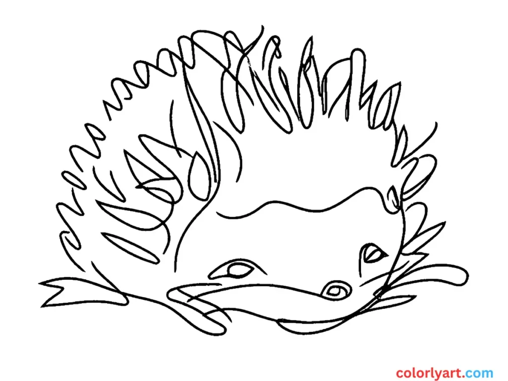Shade a tiny hedgehog curled in a ball.