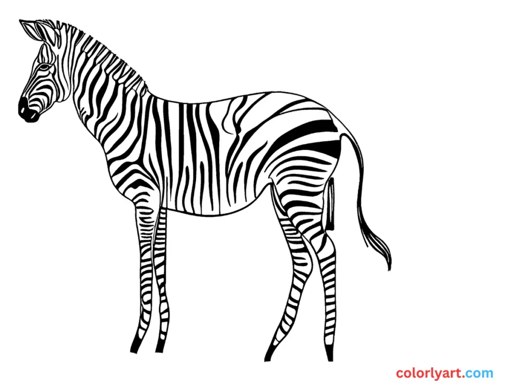 Design a zebra with bold black stripes.