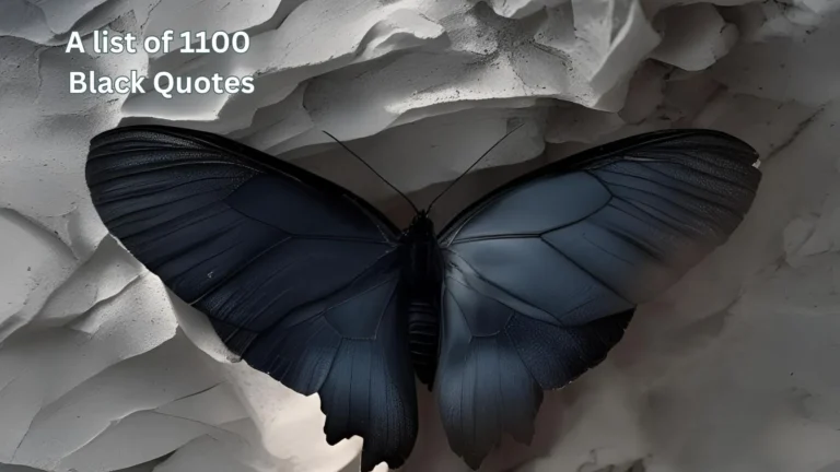 Black Quotes