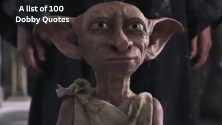 Dobby Quotes