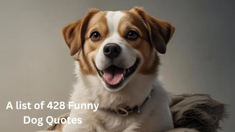 Funny Dog Quotes