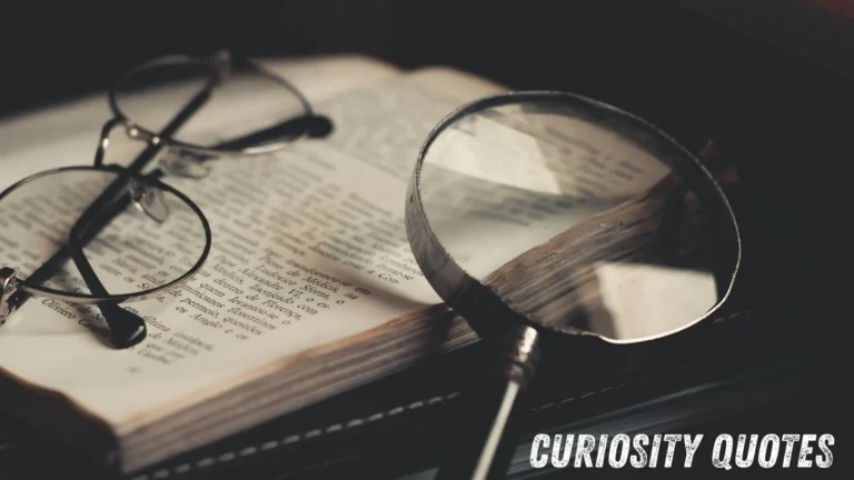 Curiosity Quotes