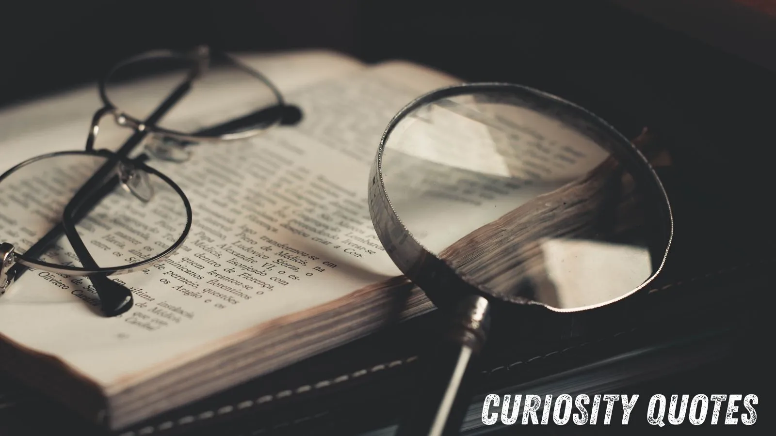 Curiosity Quotes