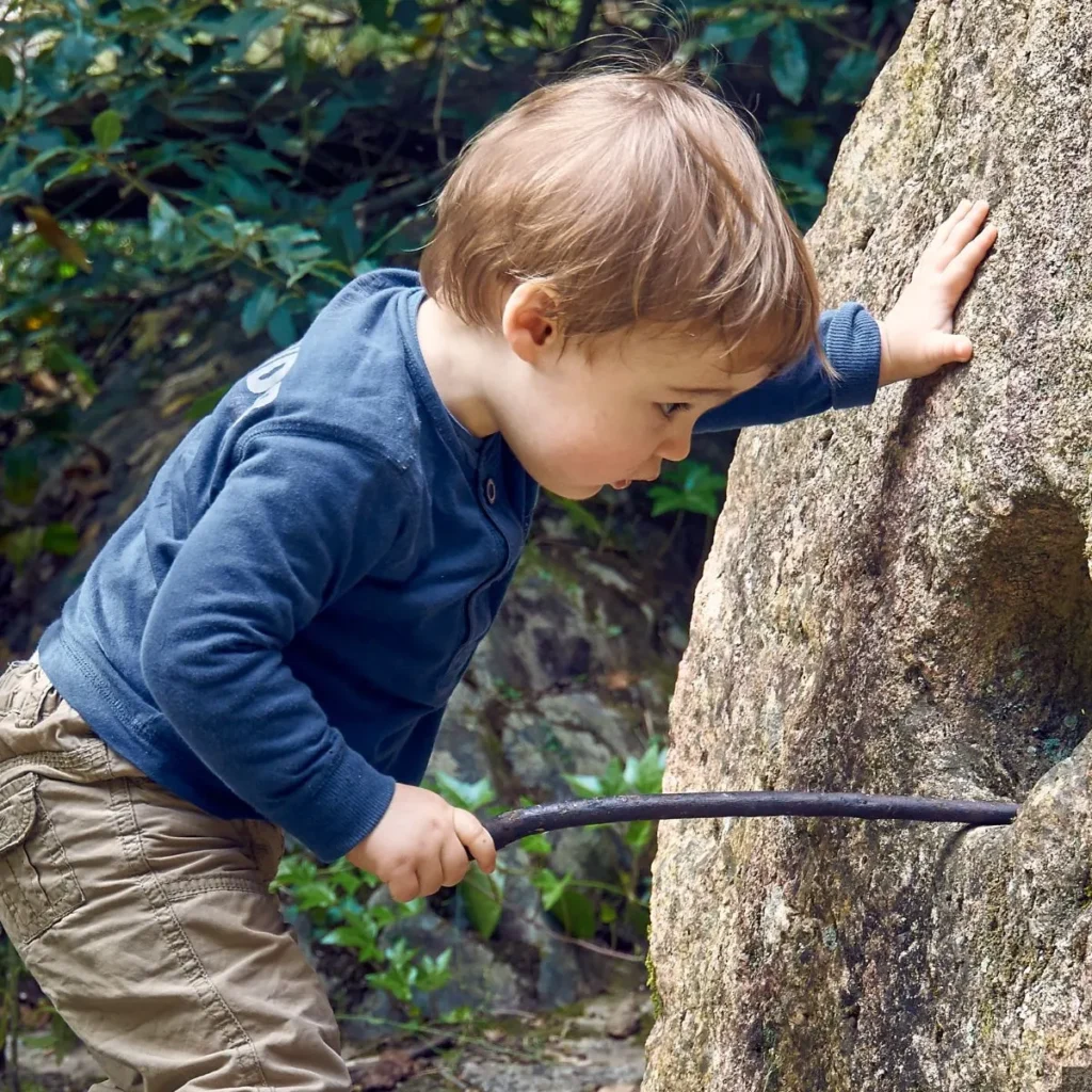 Curiosity Quotes for Kids