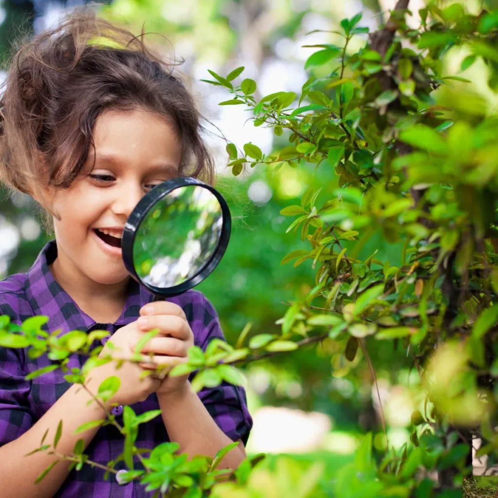 Kids Curiosity Quotes